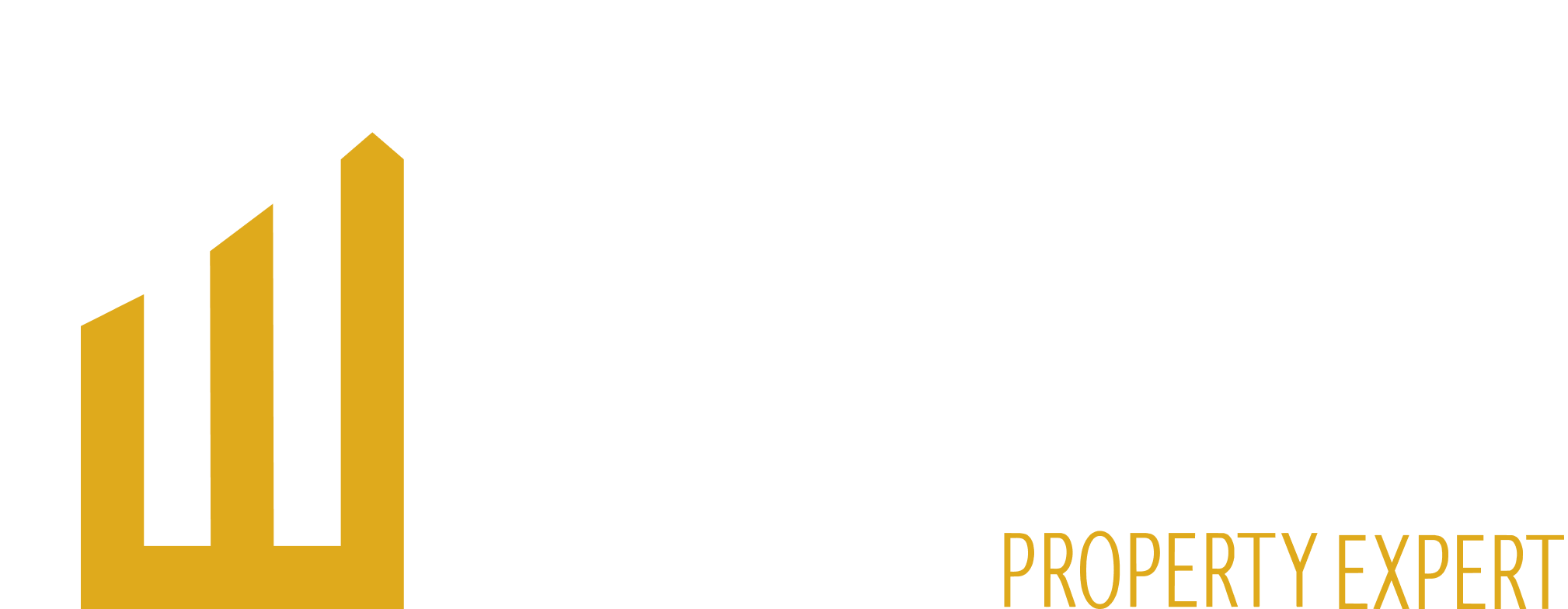 Wayne Lewis | Property Expert